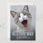 ペットおもしろいキャットホリデークリスマスカード シーズンカード (正面)