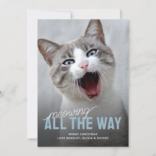 ペットおもしろいキャットホリデークリスマスカード シーズンカード (正面)