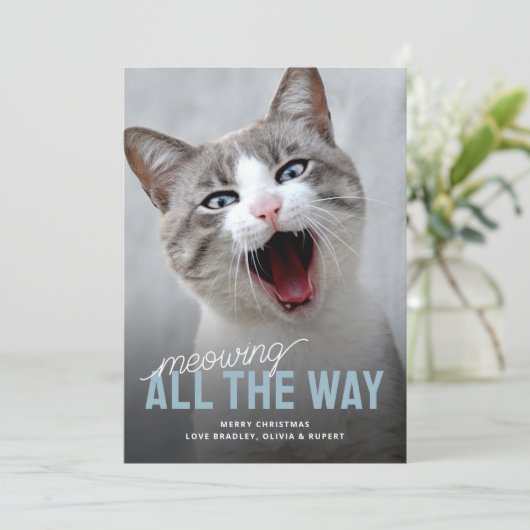 ペットおもしろいキャットホリデークリスマスカード シーズンカード (スタンド正面)