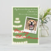 ペットおもしろいクリスマスフォトフラットホリデーカード シーズンカード (スタンド正面)