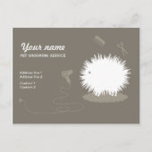 ペットおもしろいグルーミングプロモーションはがき ポストカード (正面)