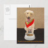 ペットおもしろいスペインのはがき教え及び援助 ポストカード (正面/裏面)