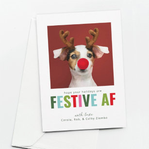 ペットおもしろいドッグキャットフォトクリスマスカードフェスティバルAF シーズンカード