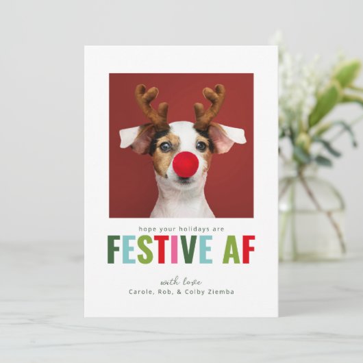ペットおもしろいドッグキャットフォトクリスマスカードフェスティバルAF シーズンカード (スタンド正面)