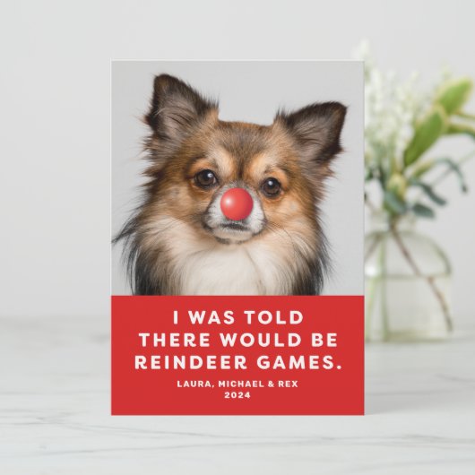 ペットおもしろいドッグフォトホリデーカードトナディゲーム シーズンカード (スタンド正面)