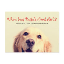 ペットおもしろいドッグホリデイ | フォトグリーティング