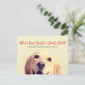 ペットおもしろいドッグホリデイ | フォトグリーティング シーズンポストカード (スタンド正面)