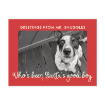 ペットおもしろいドッグホリデイ | フォトグリーティング