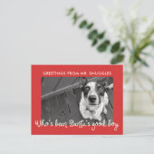 ペットおもしろいドッグホリデイ | フォトグリーティング シーズンポストカード (スタンド正面)