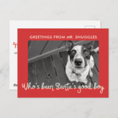 ペットおもしろいドッグホリデイ | フォトグリーティング シーズンポストカード (正面/裏面)