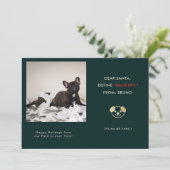 ペットおもしろいフォトクリスマス シーズンカード (スタンド正面)
