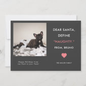 ペットおもしろいフォトクリスマス |定義いけな シーズンカード (正面)