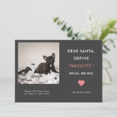 ペットおもしろいフォトクリスマス |定義いけな シーズンカード (スタンド正面)
