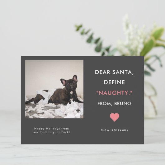 ペットおもしろいフォトクリスマス |定義いけな シーズンカード (スタンド正面)