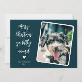 ペットおもしろいフォトメリークリスマス シーズンカード (正面)