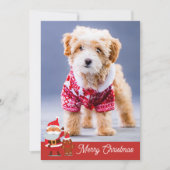 ペットおもしろいメリーかわいい犬クリスマスホリデーカード シーズンカード (正面)