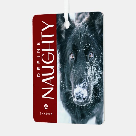 ペットおもしろい写真いけな記念ギフトの定義 メタルオーナメント (正面左)