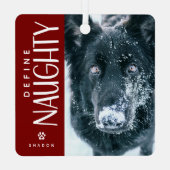 ペットおもしろい写真いけな記念ギフトの定義 メタルオーナメント (裏面)