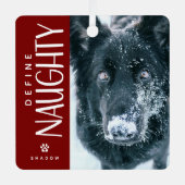 ペットおもしろい写真いけな記念ギフトの定義 メタルオーナメント (正面)