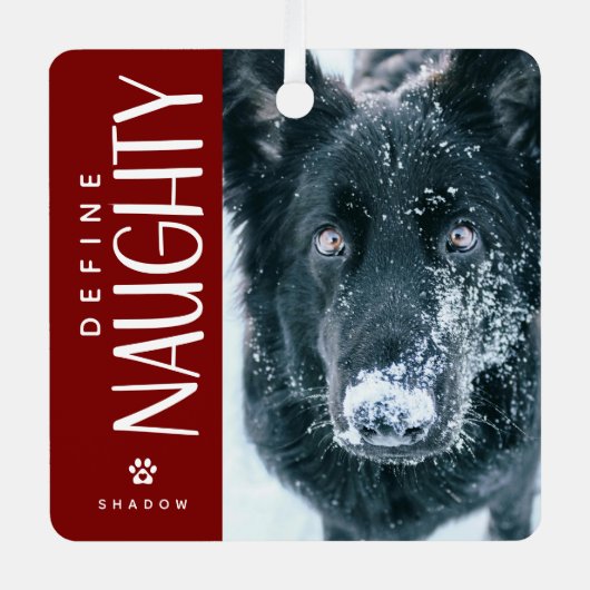 ペットおもしろい写真いけな記念ギフトの定義 メタルオーナメント (正面)