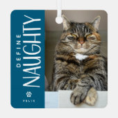 ペットおもしろい写真いけな記念ギフトの定義 メタルオーナメント (裏面)