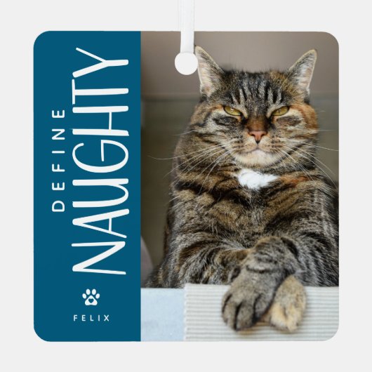 ペットおもしろい写真いけな記念ギフトの定義 メタルオーナメント (裏面)