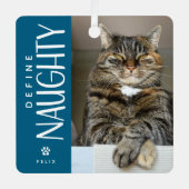 ペットおもしろい写真いけな記念ギフトの定義 メタルオーナメント (正面)