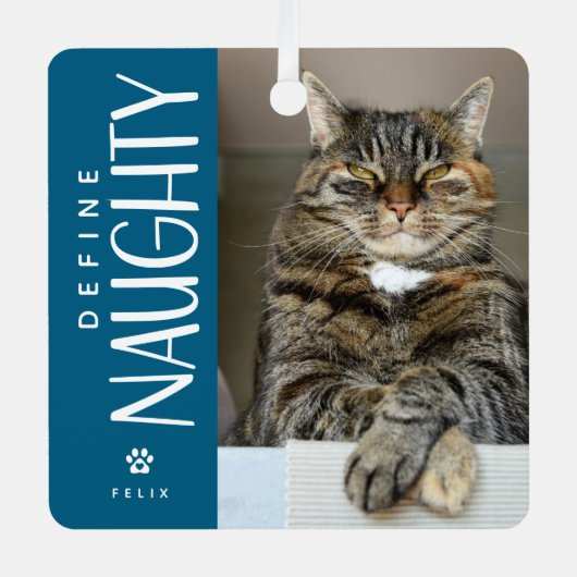 ペットおもしろい写真いけな記念ギフトの定義 メタルオーナメント (正面)