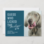 ペットおもしろい写真リッカー封筒クリスマスカード シーズンカード (正面)