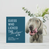 ペットおもしろい写真リッカー封筒クリスマスカード シーズンカード (スタンド正面)