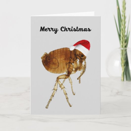 ペットおもしろい好きのクリスマスカード シーズンカード (正面)