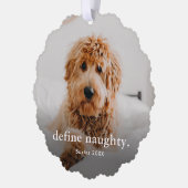 ペットおもしろい2フォトクリスマスホリデー オーナメントカード (左)