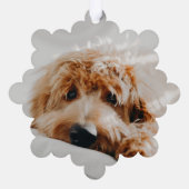 ペットおもしろい2フォトクリスマスホリデー オーナメントカード (裏面)