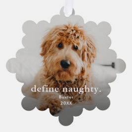 ペットおもしろい2フォトクリスマスホリデー オーナメントカード