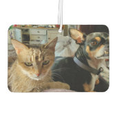 ペットお気に入りのの写真を追加 カーエアーフレッシュナー (裏面)