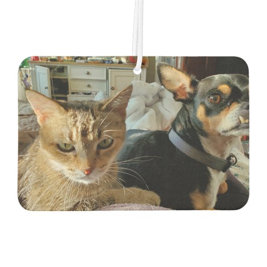 ペットお気に入りのの写真を追加 カーエアーフレッシュナー (裏面)