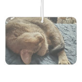 ペットお気に入りのの写真を追加 カーエアーフレッシュナー (正面)