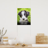 ペットお気に入りのの写真 ポスター (キッチン)