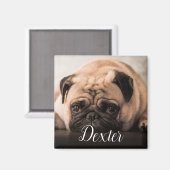 ペットお気に入りのの写真 マグネット (正面/裏面)