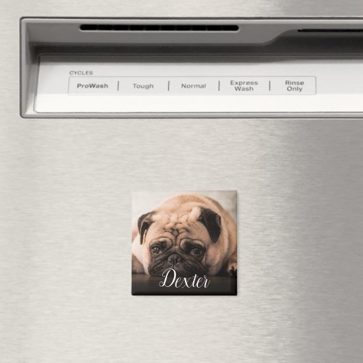 ペットお気に入りのの写真 マグネット (インサイチュ (食洗機))