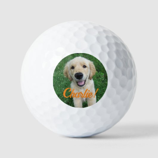 ペットお気に入りのフォトゴルフボール ゴルフボール (正面)