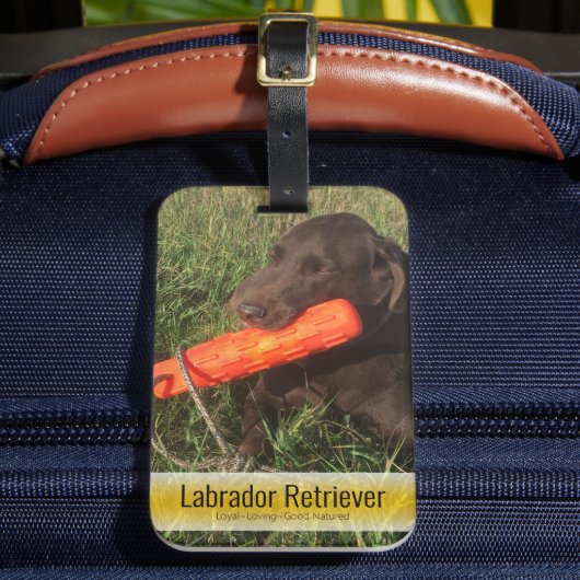 ペットお気に入りの写真の追加カスタム ラゲッジタグ (正面インサイチュ2)