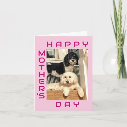 ペットから – Mom 最高の Ever Mother's Day カード (正面)