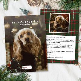 ペットが主役のクリスマスカード お気に入りの写真で作るサンタの愛する子カード シーズンカード