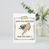 ペットが欲しかった犬を今見たか ポストカード (スタンド正面)