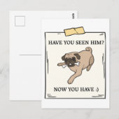 ペットが欲しかった犬を今見たか ポストカード (正面/裏面)