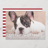 ペットが証明されるまいけなでおもしろい良い シーズンカード (正面/裏面)