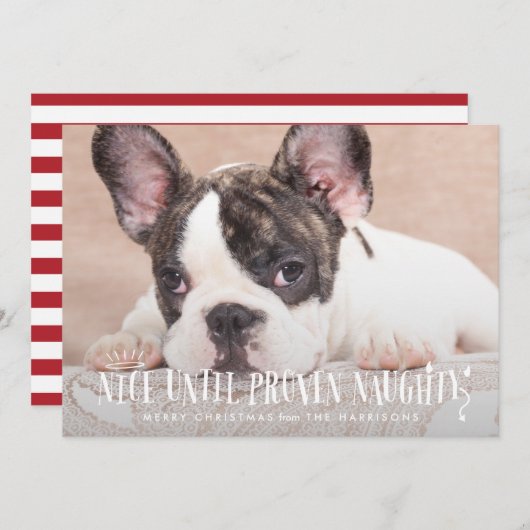 ペットが証明されるまいけなでおもしろい良い シーズンカード (正面/裏面)