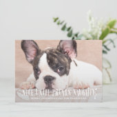 ペットが証明されるまいけなでおもしろい良い シーズンカード (スタンド正面)