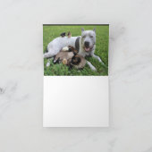 ペットが話せることを願うおもしろい カード (内部)